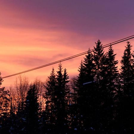 Koselig Hytte I Hemsedal Villa Exterior foto