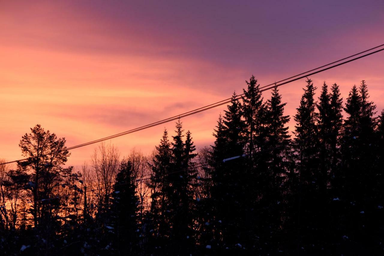 Koselig Hytte I Hemsedal Villa Exterior foto