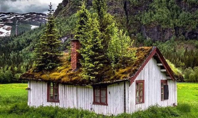 Koselig Hytte I Hemsedal Villa Exterior foto