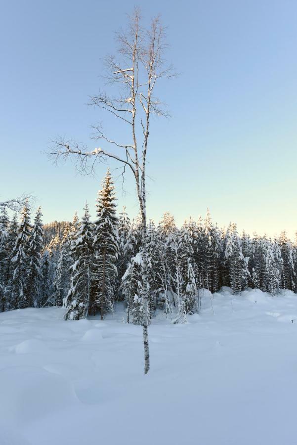 Koselig Hytte I Hemsedal Villa Exterior foto